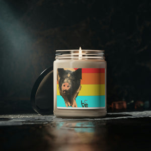 Maddie the pig! Scented Soy Candle, 9oz