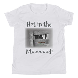 Youth Short Sleeve T-Shirt - Stu - Not in the Mooood!