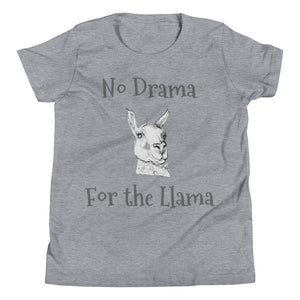 Youth Short Sleeve T-Shirt - No Drama llama