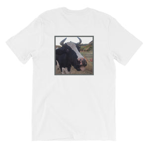 Short-Sleeve Unisex T-Shirt - Not in the Moood - Stu