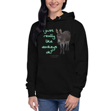 Load image into Gallery viewer, Unisex Hoodie - I Just really like donkeys ok?