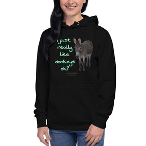 Unisex Hoodie - I Just really like donkeys ok?