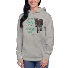 Load image into Gallery viewer, Unisex Hoodie - I Just really like donkeys ok?