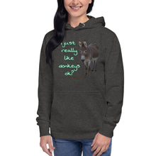 Load image into Gallery viewer, Unisex Hoodie - I Just really like donkeys ok?