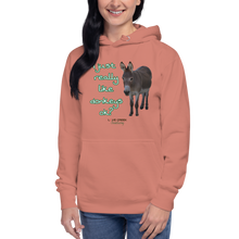 Load image into Gallery viewer, Unisex Hoodie - I Just really like donkeys ok?