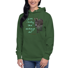 Load image into Gallery viewer, Unisex Hoodie - I Just really like donkeys ok?