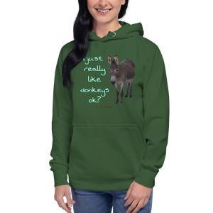 Unisex Hoodie - I Just really like donkeys ok?