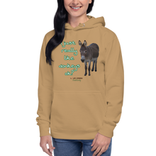 Load image into Gallery viewer, Unisex Hoodie - I Just really like donkeys ok?