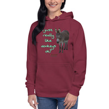 Load image into Gallery viewer, Unisex Hoodie - I Just really like donkeys ok?