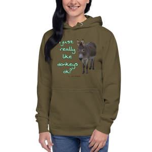 Unisex Hoodie - I Just really like donkeys ok?