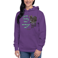 Load image into Gallery viewer, Unisex Hoodie - I Just really like donkeys ok?