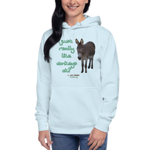 Unisex Hoodie - I Just really like donkeys ok?