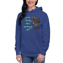 Load image into Gallery viewer, Unisex Hoodie - I Just really like donkeys ok?