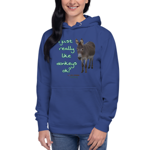 Unisex Hoodie - I Just really like donkeys ok?